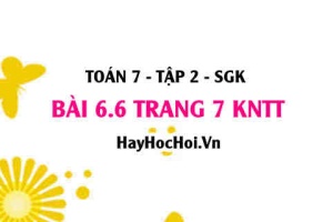 Bài 6.6 trang 7 Toán 7 Tập 2 Kết nối tri thức